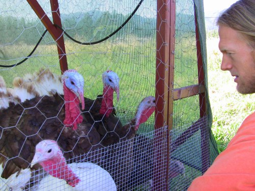 Ken Muller and his Heirloom Turkeys